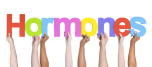 Hormones 